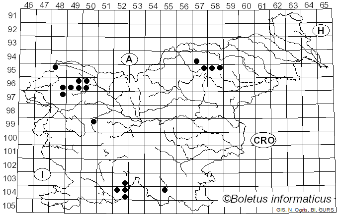 <i>Chaenotheca chrysocephala</i> (Turner ex Ach.) Th. Fr. (1861)