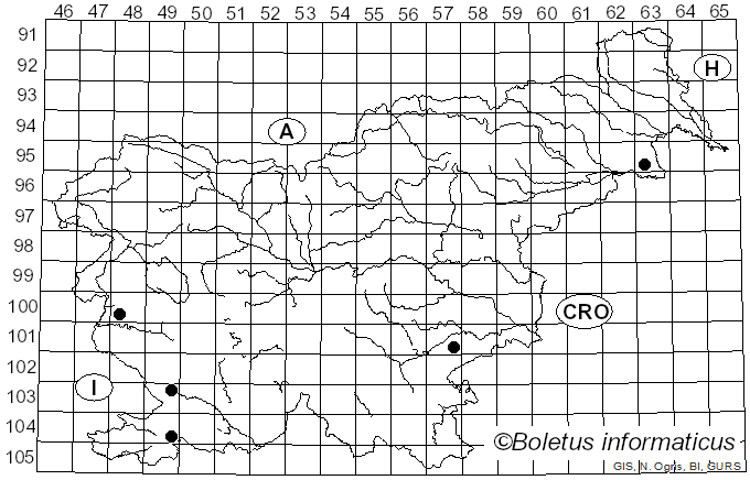 <i>Phylloscypha</i> Van Vooren (2020)