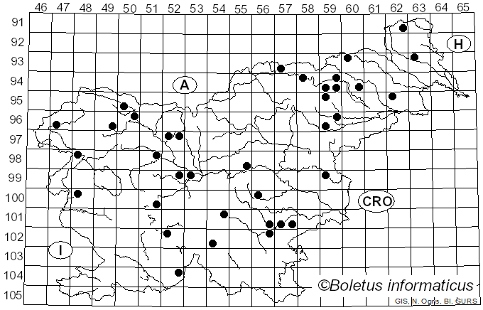 <i>Clitocybe rivulosa</i> (Pers.) P. Kumm. (1871)