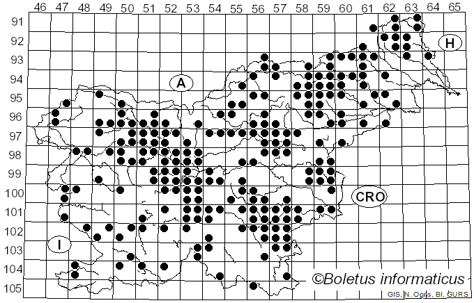 <i>Lactarius blennius</i> (Fr.) Fr. (1838)