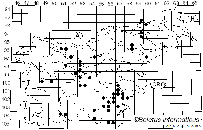 <i>Hericium coralloides</i> (Scop.) Pers. (1794)
