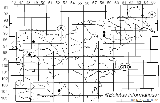 <i>Biatorella</i> De Not. (1846)