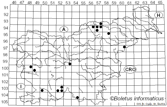 <i>Lecidella euphorea</i> (Flörke) Hertel (1980)