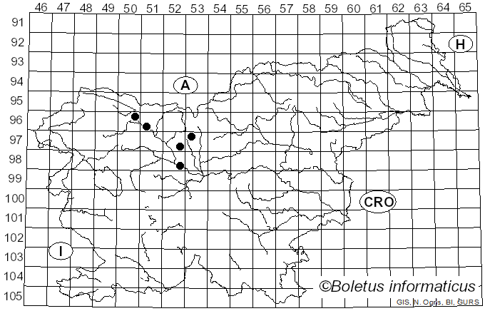 <i>Dothidea sambuci</i> (Pers.) Fr. (1823)