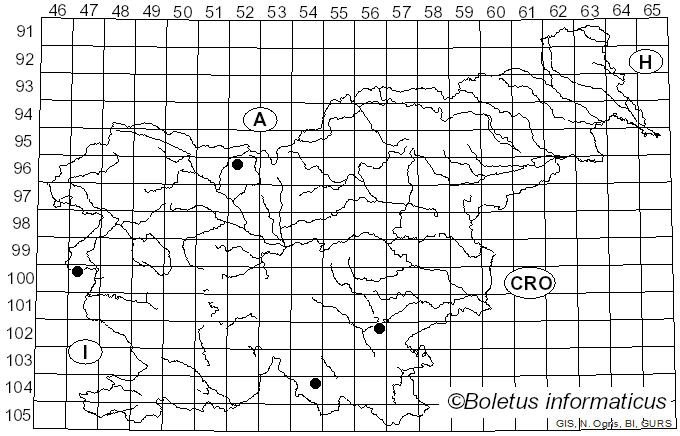 <i>Scutellinia armatospora</i> Denison (1961)