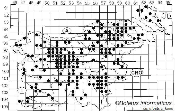 <i>Rhodocollybia maculata</i> (Alb. & Schwein.) Singer (1939)