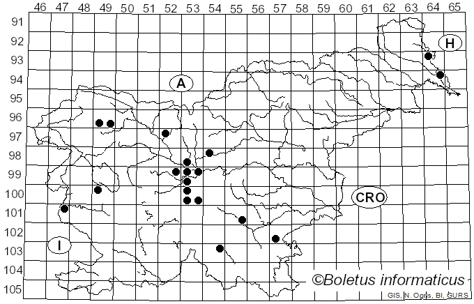 <i>Paxina</i> Kuntze (1891)
