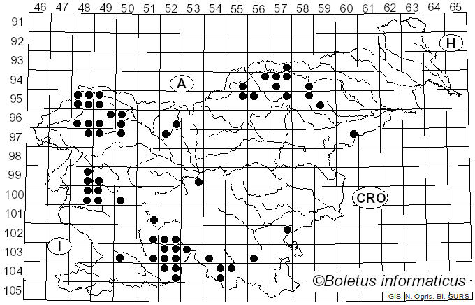 <i>Lecidella</i> Körb. (1855)