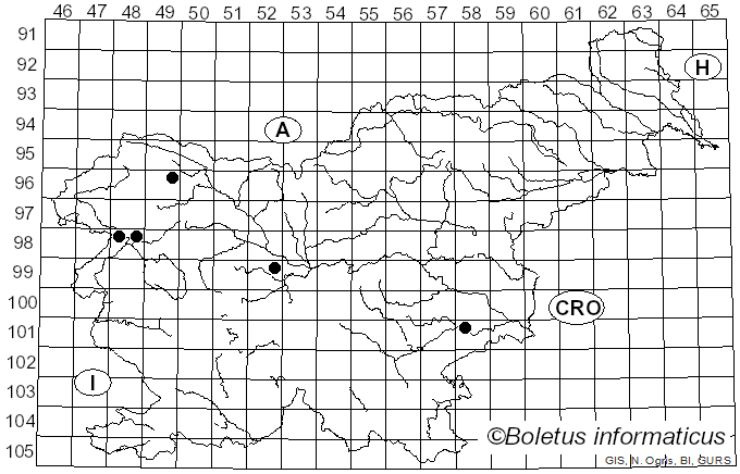 <i>Helminthosphaeria clavariarum</i> (Desm.) Fuckel (1870)
