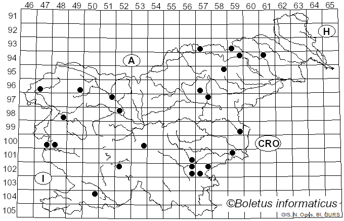 <i>Entoloma conferendum</i> var. <i>conferendum</i> (Britzelm.) Noordel. (1980)