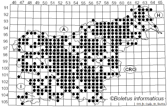 <i>Clitocybe</i> (Fr.) Staude (1857)
