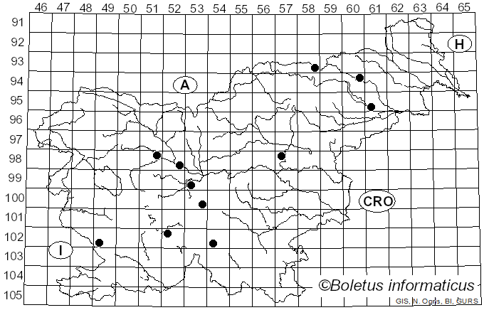 <i>Lactarius omphaliformis</i> Romagn. (1974)