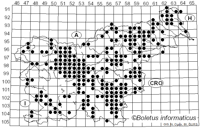 <i>Hypholoma lateritium</i> (Schaeff.) P. Kumm. (1871)
