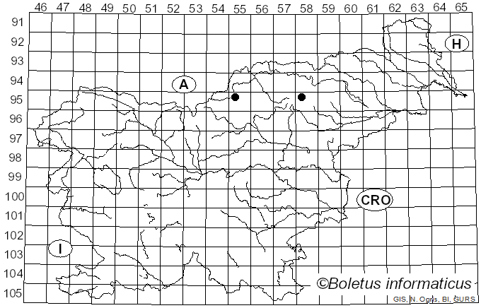<i>Gemmamyces</i> Casagr. (1969)