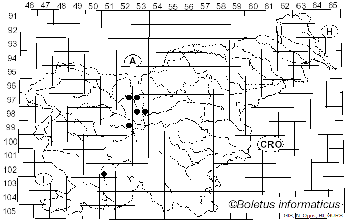 <i>Mycosphaerella mori</i> (Fuckel) F.A. Wolf (1935)