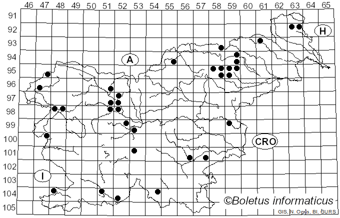 <i>Cortinarius sebaceus</i> Fr.