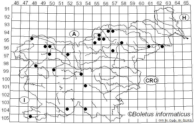 <i>Melanohalea elegantula</i> (Zahlbr.) O. Blanco, A. Crespo, Divakar, Essl., D. Hawksw. & Lumbsch (2004)