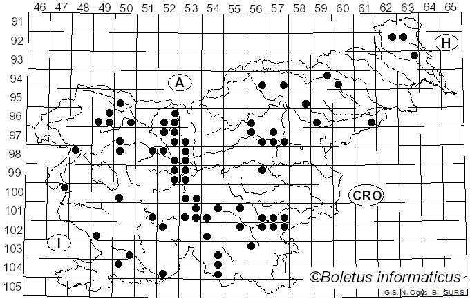 <i>Pluteus atromarginatus</i> (Konrad) Kühner (1935)