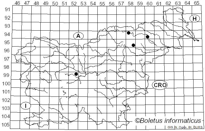 <i>Tricholoma sulphureum</i> var. <i>coronaria</i> Pers.