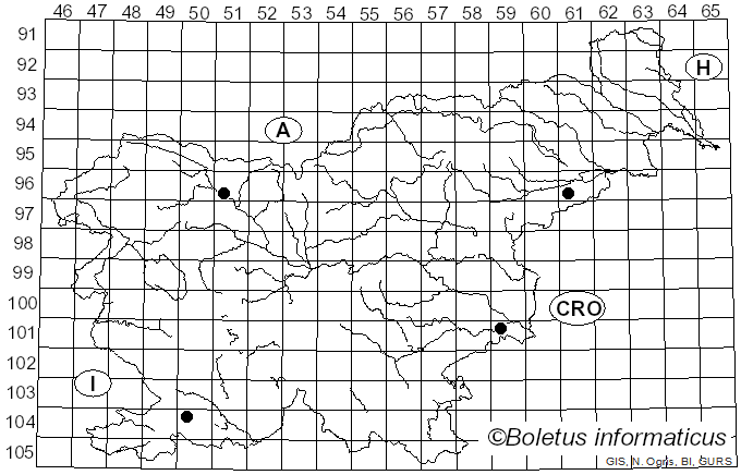 <i>Bolbitius coprophilus</i> (Peck) Hongo (1959)
