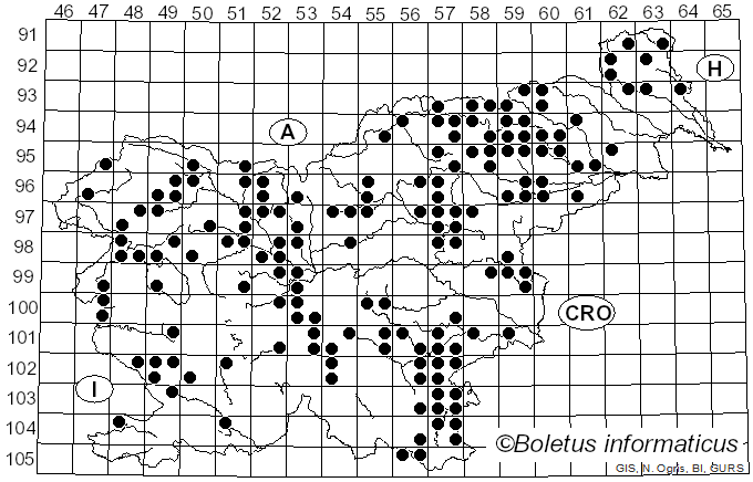<i>Bovista</i> Pers. (1794)