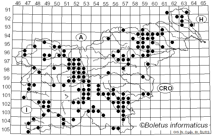 <i>Tricholoma scalpturatum</i> (Fr.) Quél. (1872)