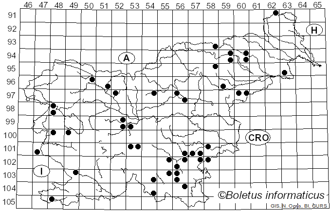 <i>Schizopora paradoxa</i> (Schrad.) Donk (1967)