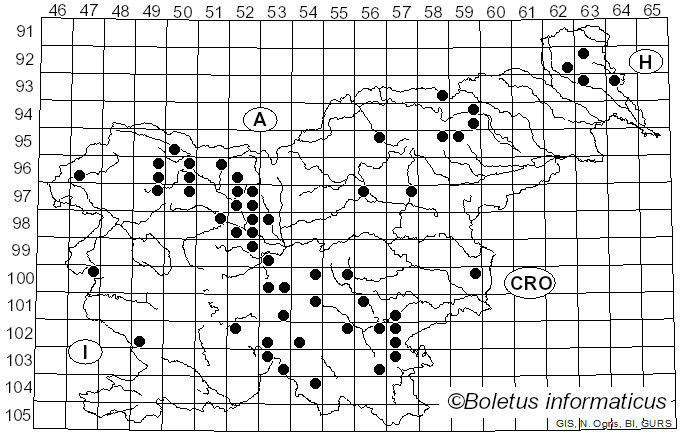 <i>Boletopsis leucomelaena</i> (Pers.) Fayod (1889)