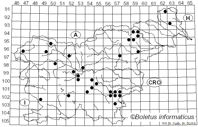 <i>Russula aquosa</i> Leclair (1932)