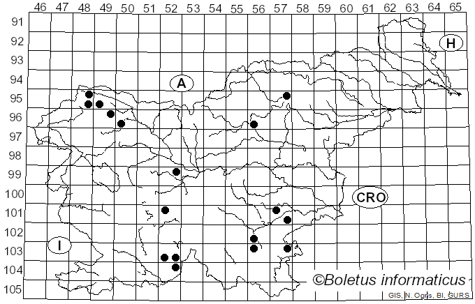 <i>Peltigera canina</i> (L.) Willd. (1787)