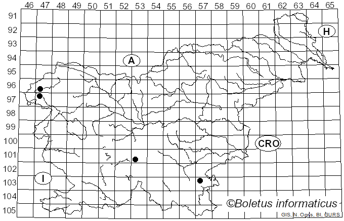 <i>Calonarius suaveolens</i> (Bataille & Joachim) Niskanen & Liimat. (2022)