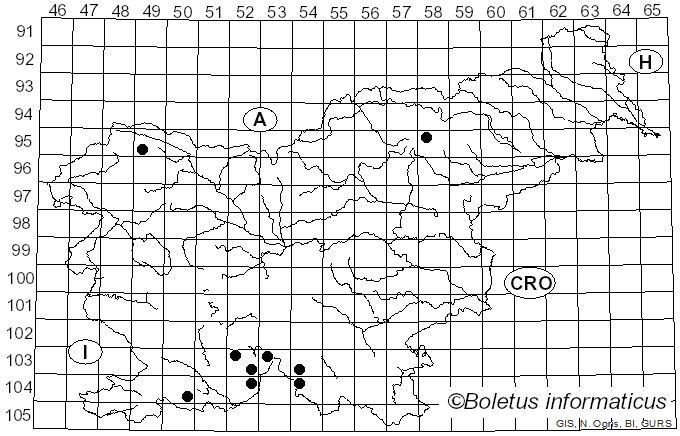 <i>Nephroma laevigatum</i> Ach. (1814)