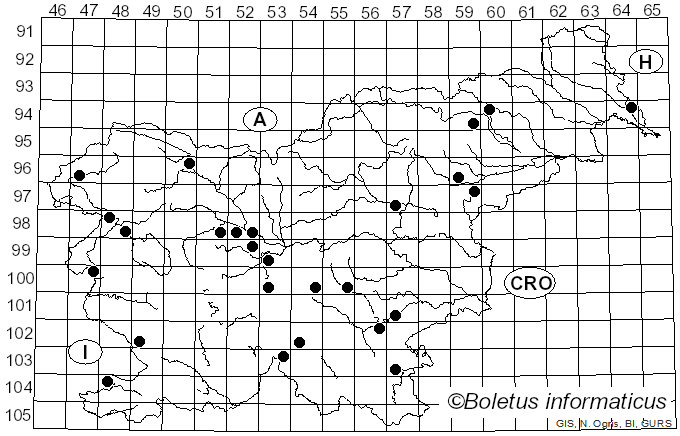 <i>Tricholoma cingulatum</i> (Almfelt) Jacobashch (1890)