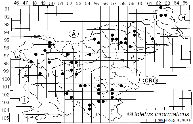 <i>Amylostereum</i> Boidin (1958)