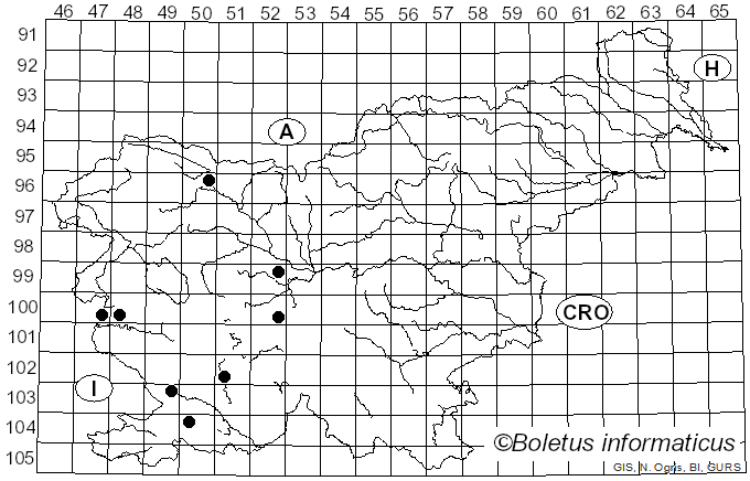<i>Cyclaneusma minus</i> (Butin) DiCosmo, Peredo & Minter (1983)