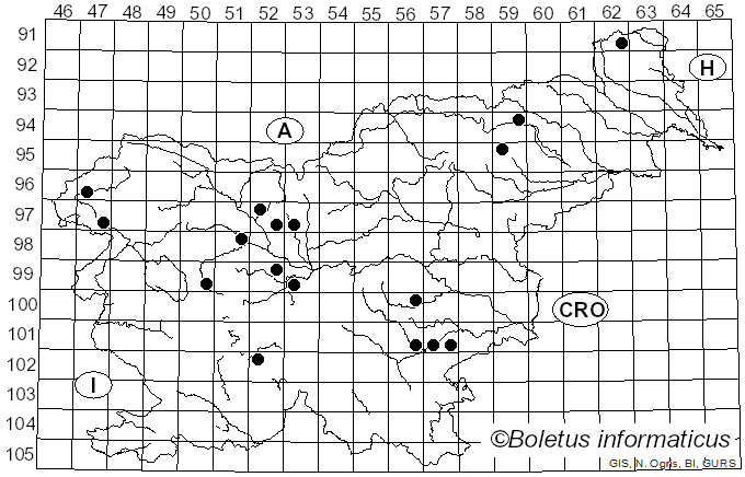 <i>Pappia fissilis</i> (Berk. & M.A. Curtis) Zmitr. (2018)