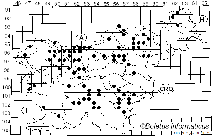 <i>Gomphus</i> Pers. (1797)