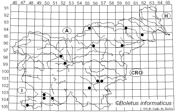 <i>Irpiciporus pachyodon</i> (Pers.) Kotl. & Pouzar (1957)