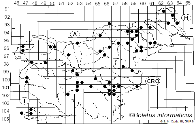<i>Inonotus hispidus</i> (Bolton) P. Karst. (1880)