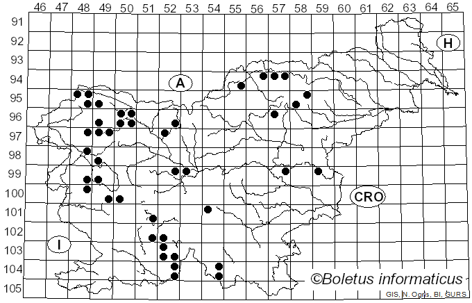 <i>Physcia adscendens</i> (Th. Fr.) H. Olivier (1882)