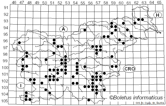 <i>Ganoderma lucidum</i> (Curtis) P. Karst. (1881)