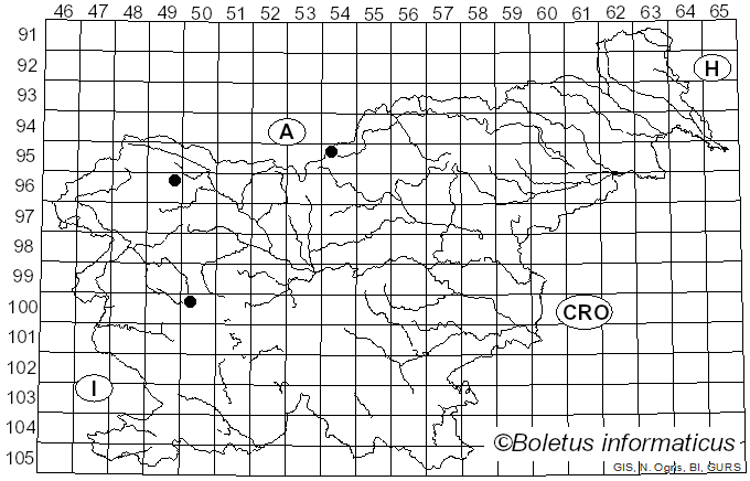 <i>Ramaria schildii</i> R.H. Petersen (1988)