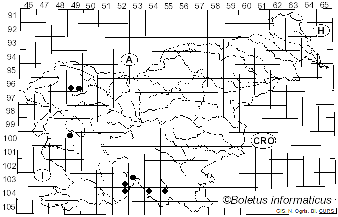 <i>Arthonia vinosa</i> Leight. (1856)