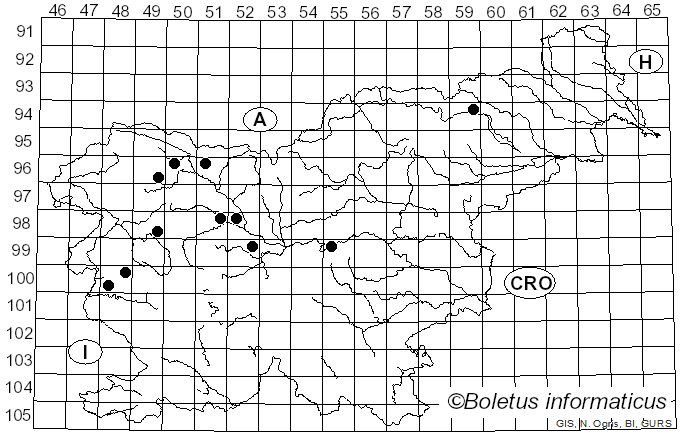 <i>Roridomyces</i> Rexer (1994)
