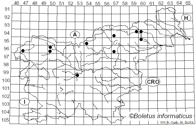 <i>Rhodofomes roseus</i> (Alb. & Schwein.) Kotl. & Pouzar (1990)