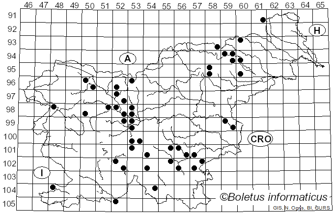 <i>Calocybe ionides</i> (Bull.) Donk (1962)