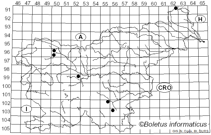 <i>Rigidoporus sanguinolentus</i> (Alb. & Schwein.) Donk (1966)