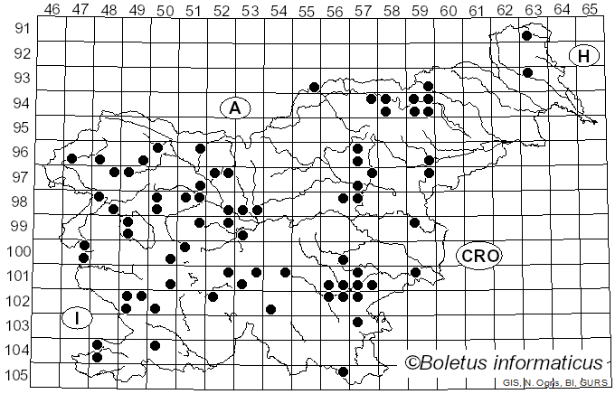 <i>Hygrocybe coccinea</i> (Schaeff.) P. Kumm. (1871)