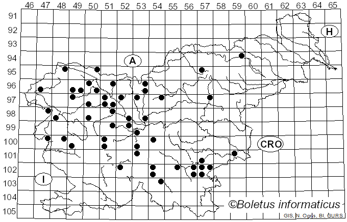 <i>Tricholoma evenosum</i> (Sacc.) Rea (1932)