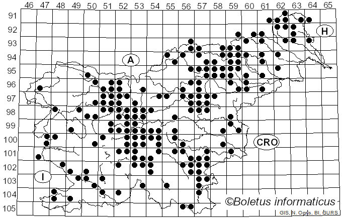 <i>Suillus luteus</i> (L.) Gray (1821)